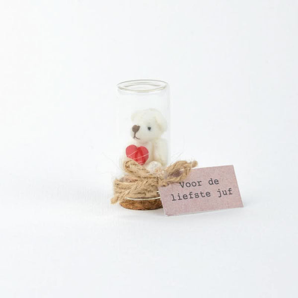 Un ours pour le professeur le plus gentil