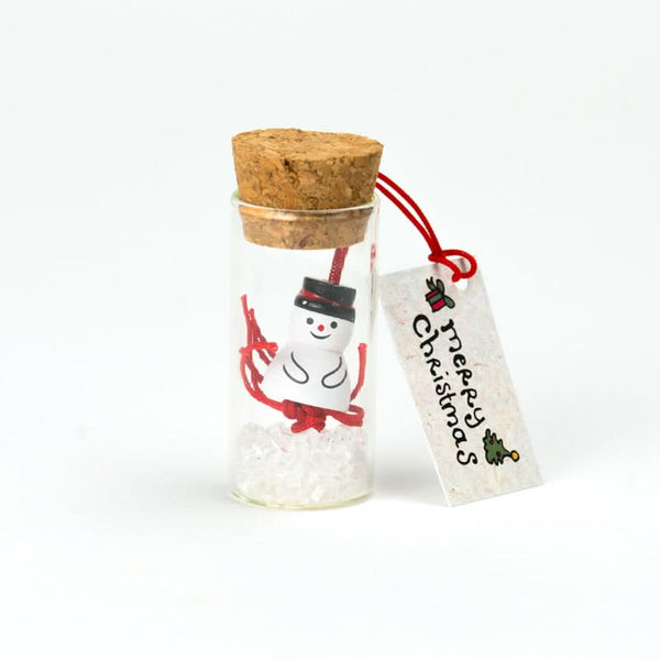 bouteille porte-bonheur joyeux Noël bonhomme de neige