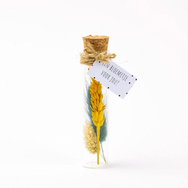 Fleur séchée multicolore 11cm