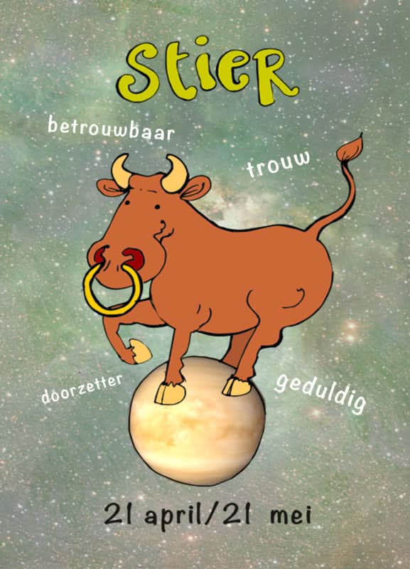 Carte postale de taureau