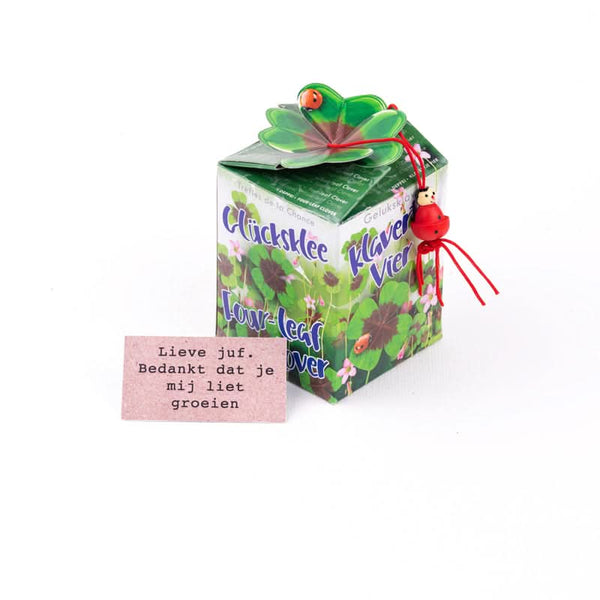 Lehrer mit vierblättrigem Kleeblatt