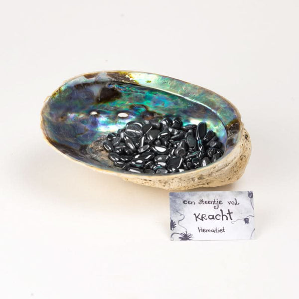 Entladeset Abalone Muschel Hämatit