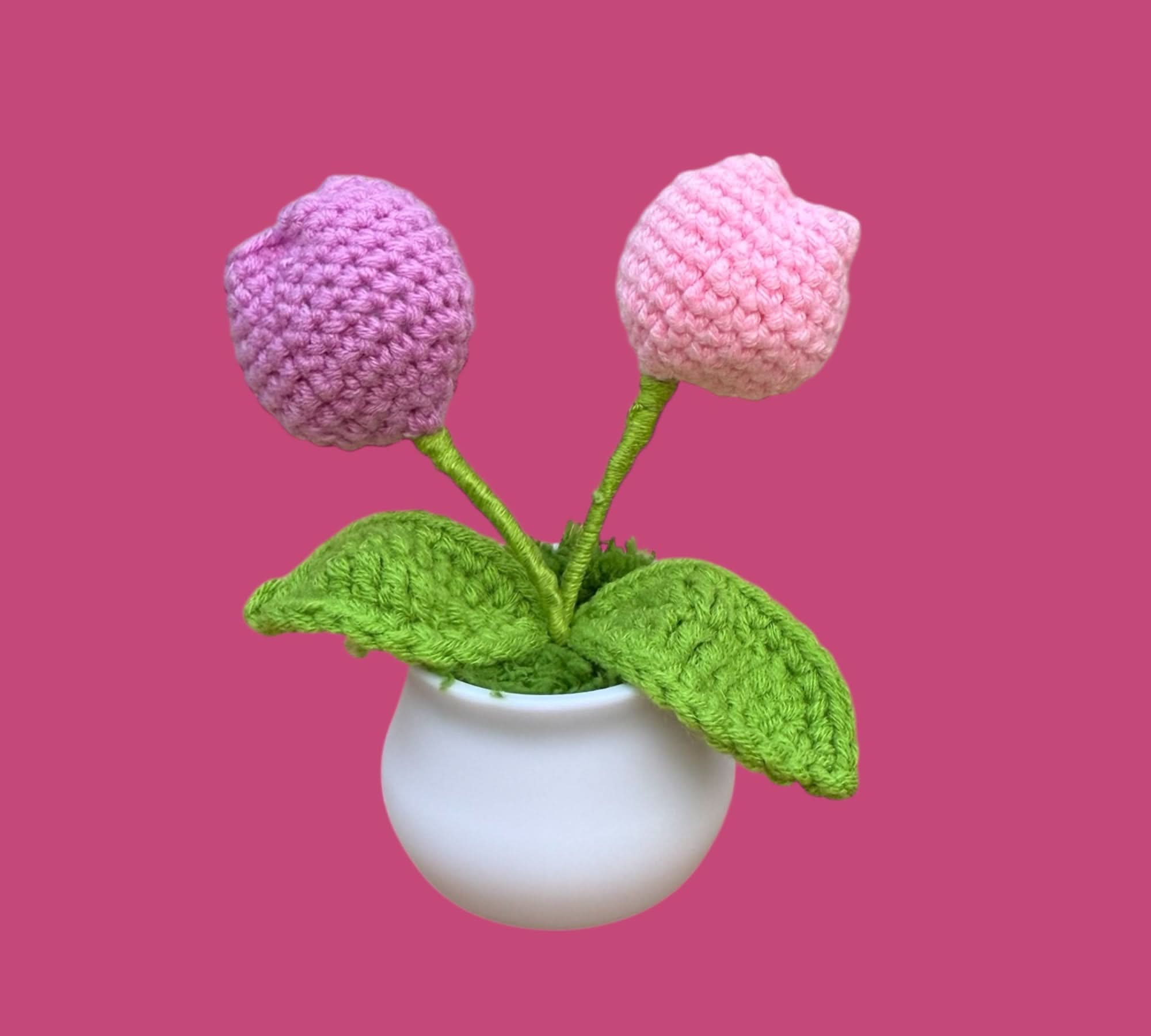 Tulpen in pot