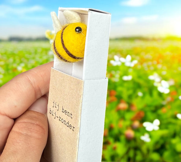 Jij bent bij-zonder doosje vilt