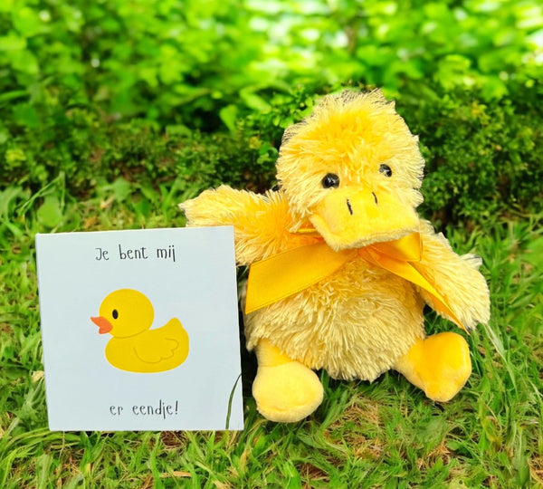 Knuffel eendje jarig