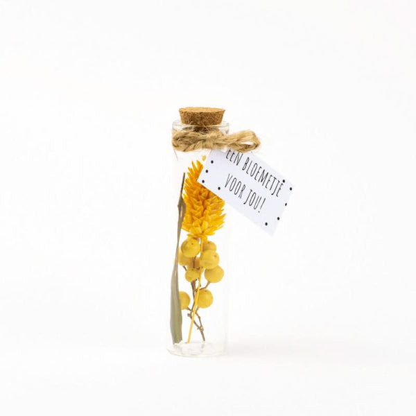 Trockenblumenstrauß Gelb 8cm