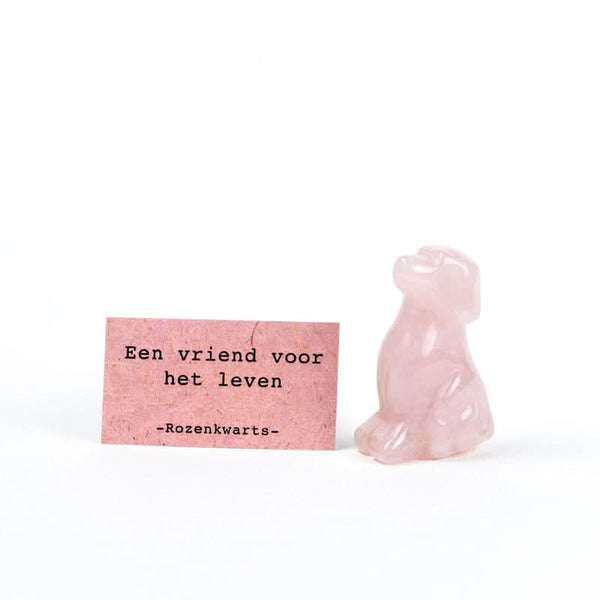 Hund Rosenquarz Freund