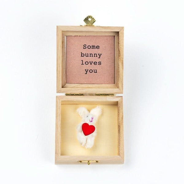 Konijn in doosje: Some bunny loves you