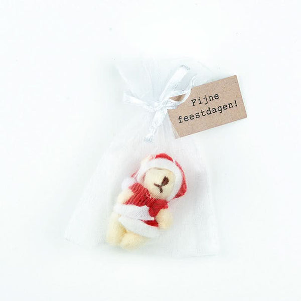 Weihnachtsbär in einer Tasche, schöne Feiertage!