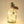Eine Flasche voller Lichtblicke