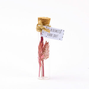 Bouquet de fleurs séchées Mélange rose 11cm