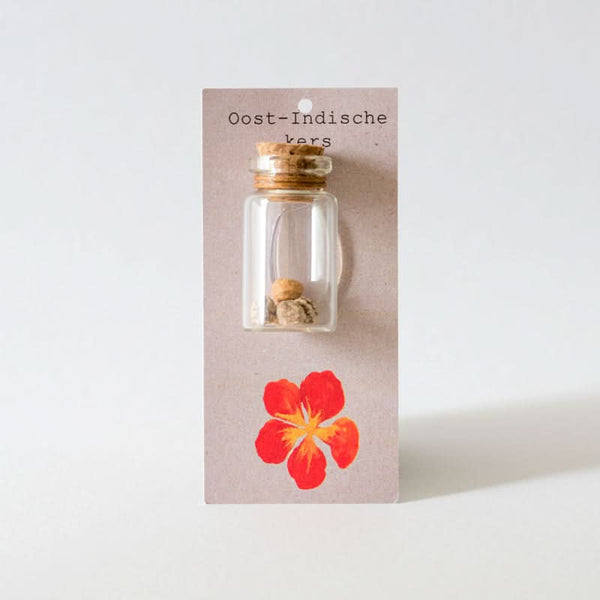 Oost-Indische kers