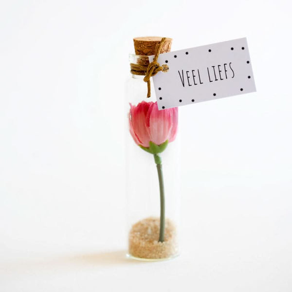Blume viel Liebe