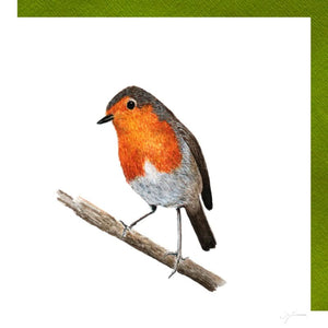 Rouge-gorge