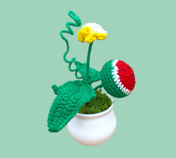 Watermeloen plant