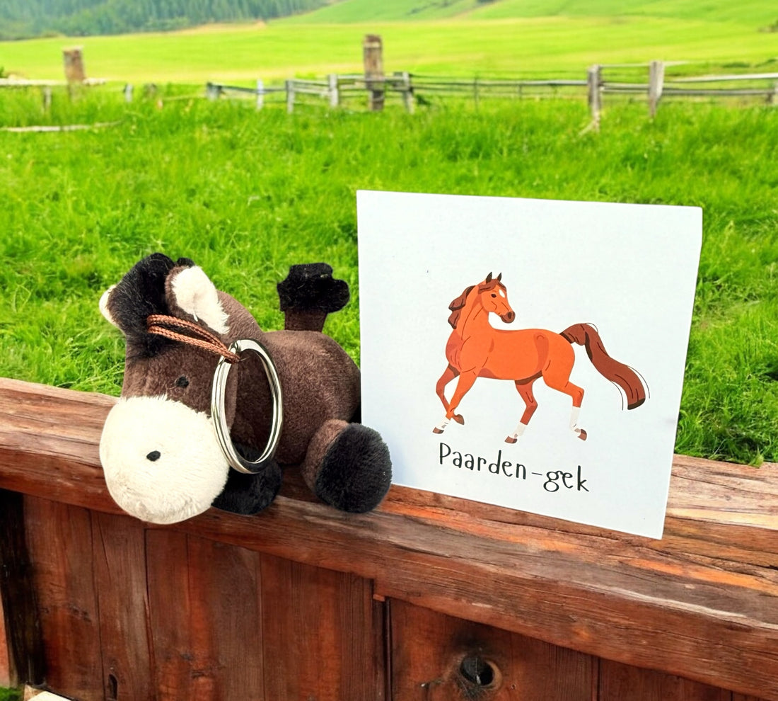 Sleutelhanger paardje is paardengek