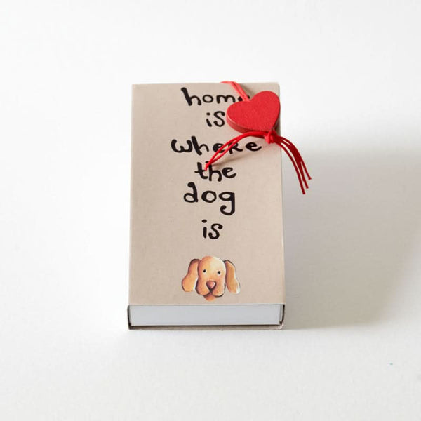 Boîte de chiens XL